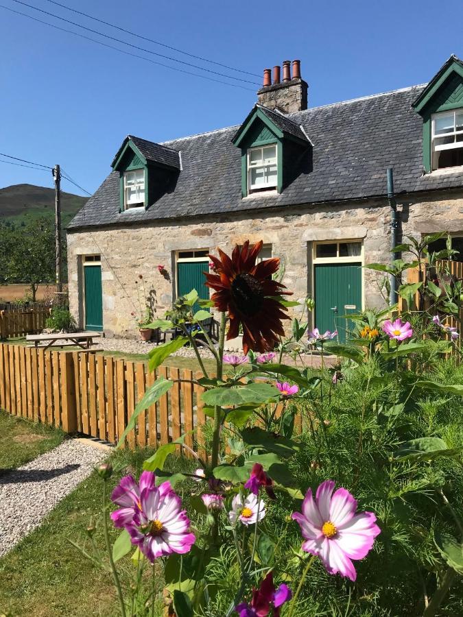 Stable Cottage, Crannachcottages Garve Exterior photo